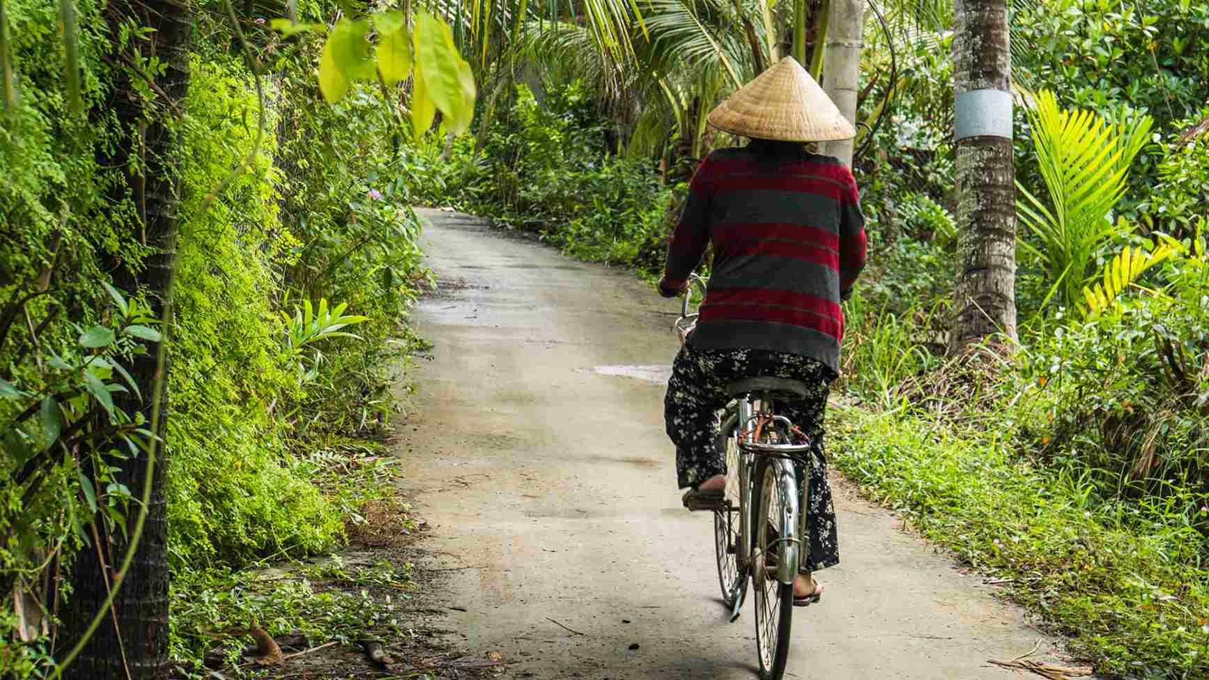 Mekong Countryside Cycle