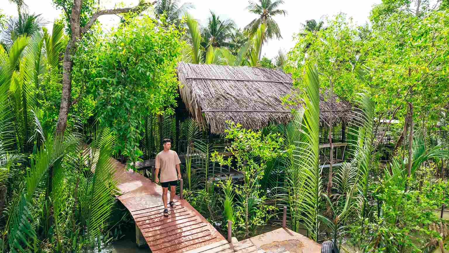 Coconut and Fruit Farm Tour