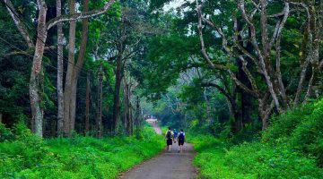 Cuc Phuong National Park – Ninh Binh