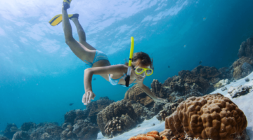 Quy Nhon Snorkeling Tours