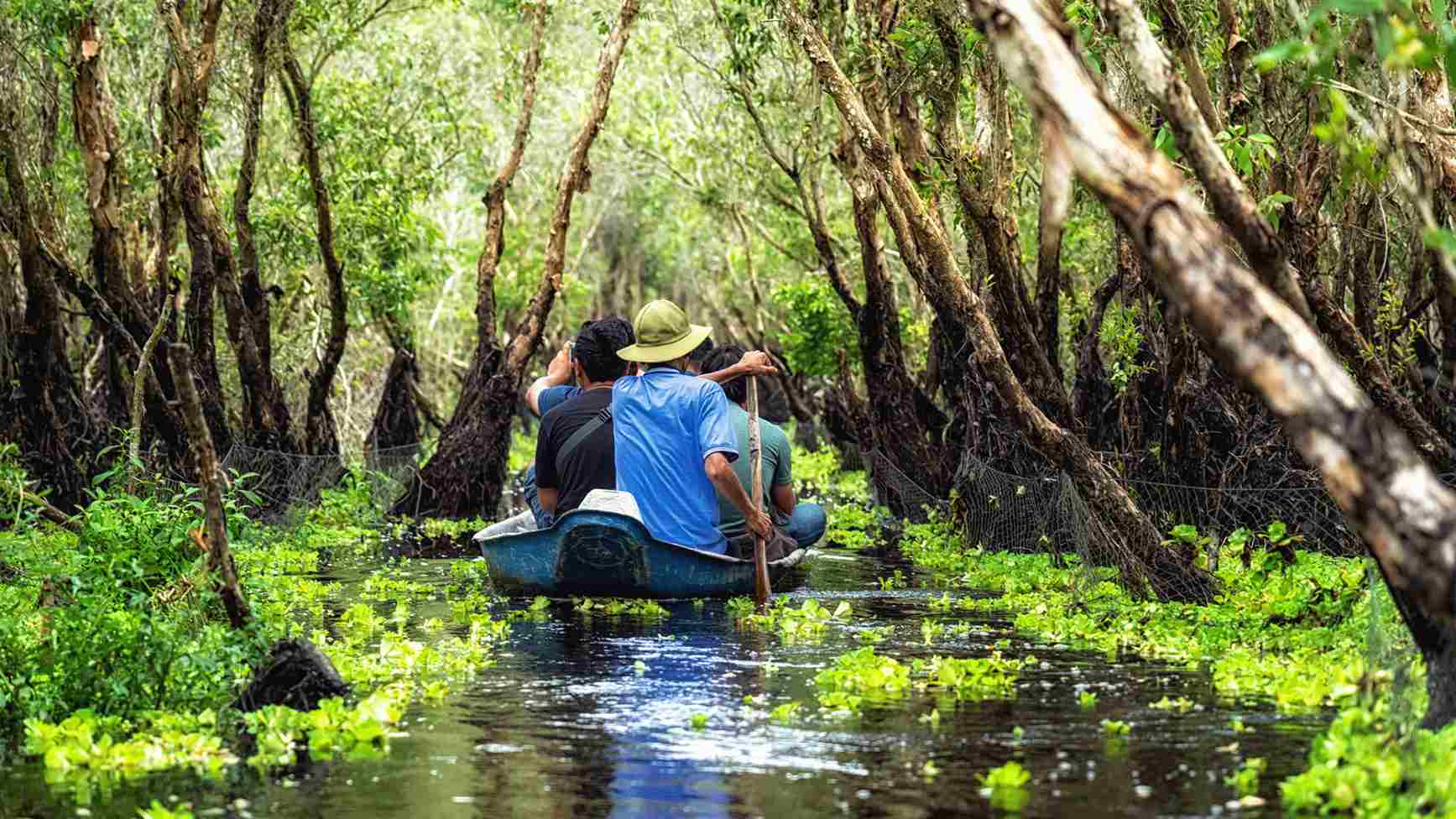 Tra Su Mangrove Forest