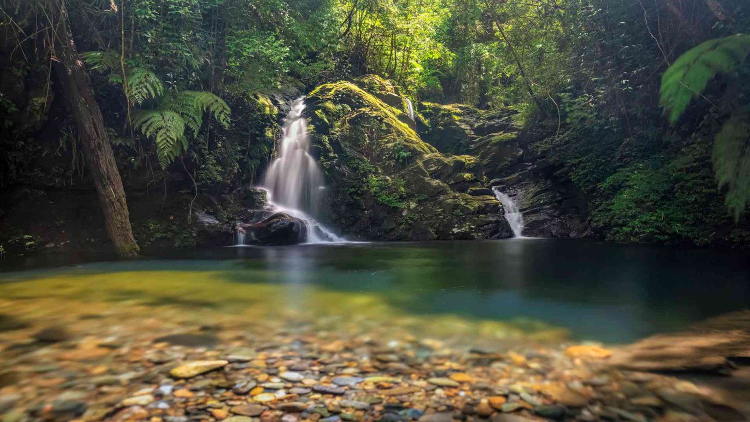 Bach Ma National Park | Vietnam's Best Travel Experiences