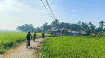 Cycling Mekong Bike and Boat – 1 Day