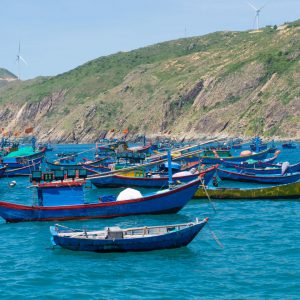 Quy Nhon Fishing Tours