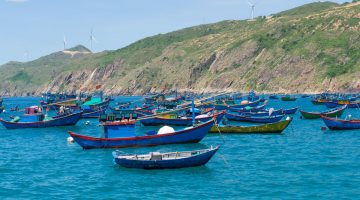 Quy Nhon Fishing Tours