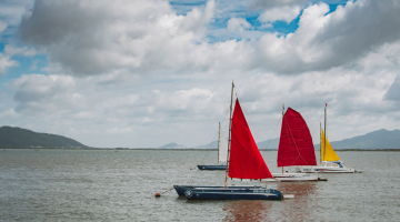 Sea catamaran sailing and snorkeling in the North