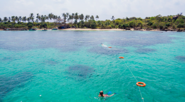 Small group snorkelling & speedboat tour in the South