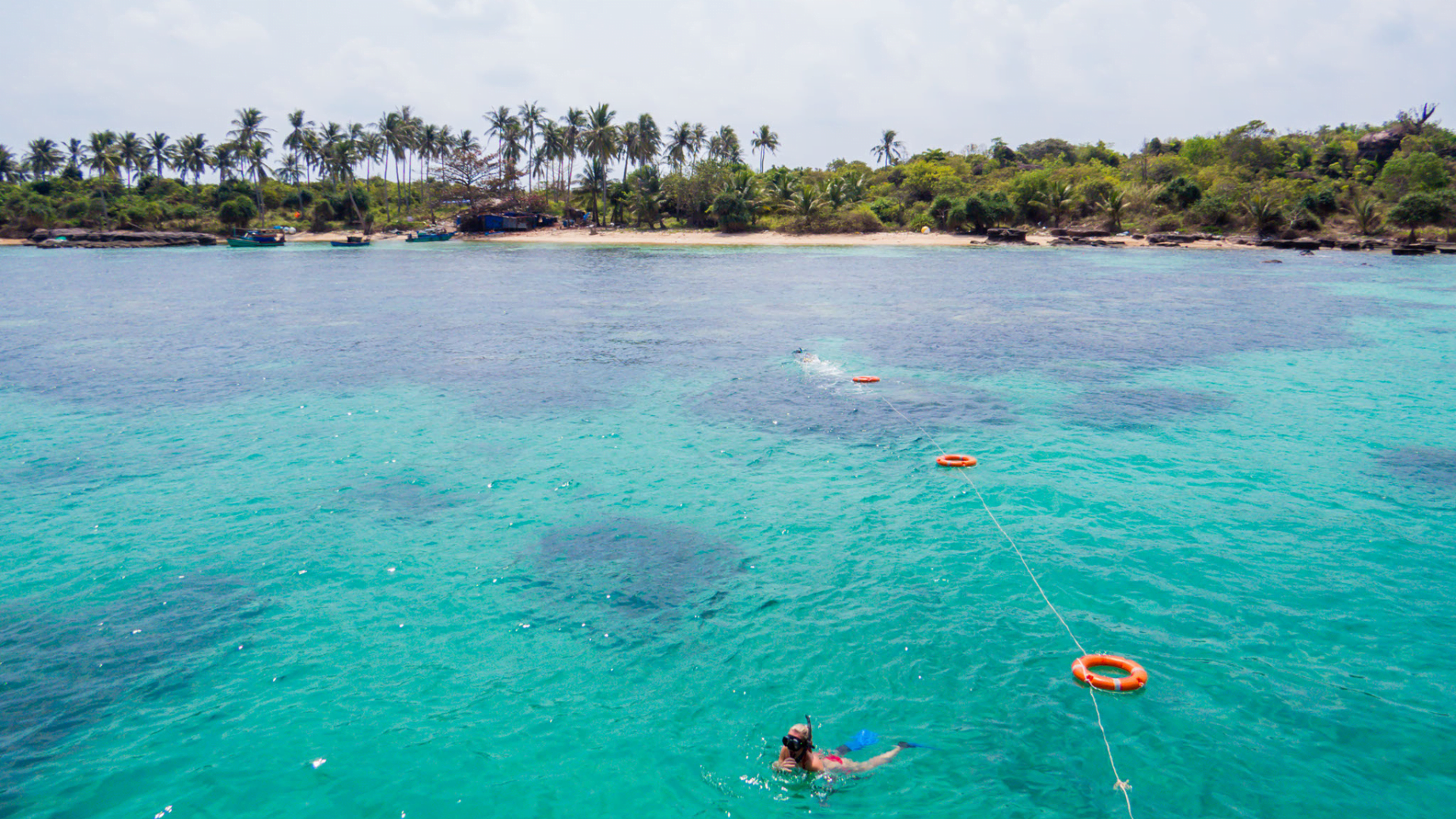 Small group snorkelling & speedboat tour in the South