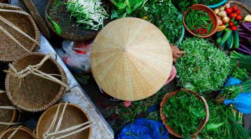Vietnamese Cuisine Cooking Class and Market Tour  – Hanoi