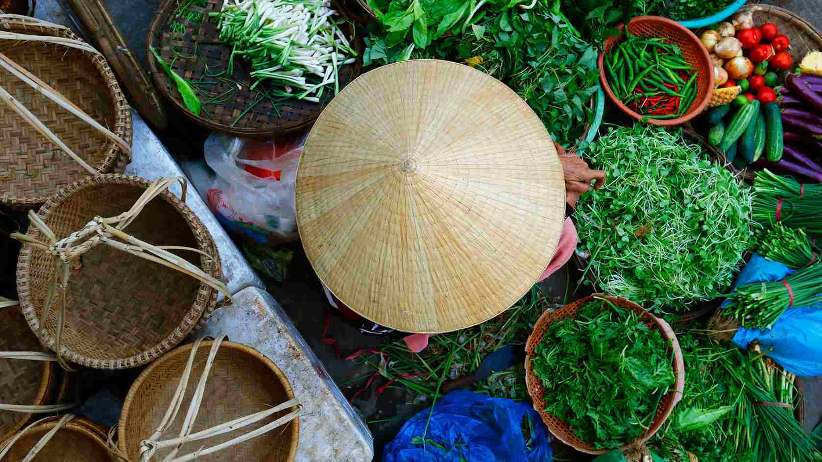 Vietnamese Cuisine Cooking Class and Market Tour  – Hanoi