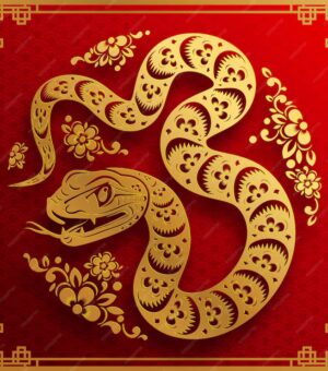 The Year of the Snake in Vietnamese Culture: A Symbol of Wisdom and Transformation